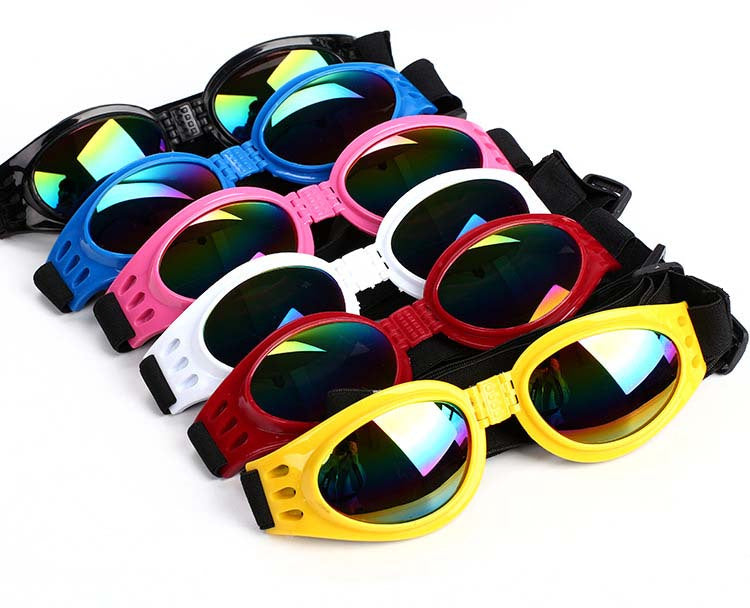 Hundesonnenbrille