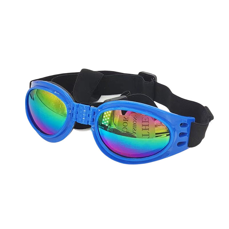 Hundesonnenbrille