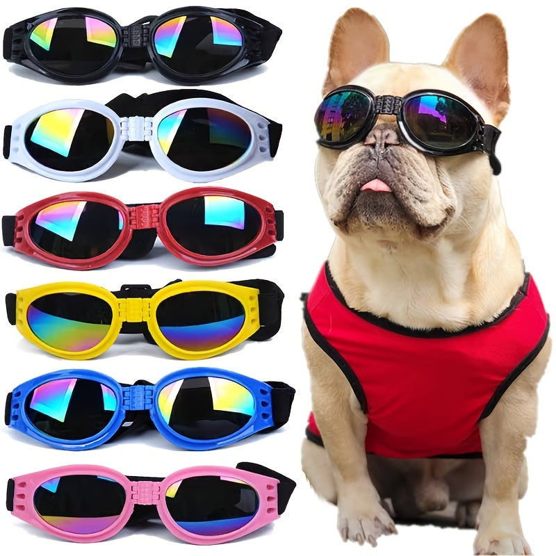Hundesonnenbrille