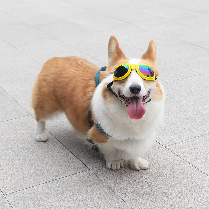 Hundesonnenbrille