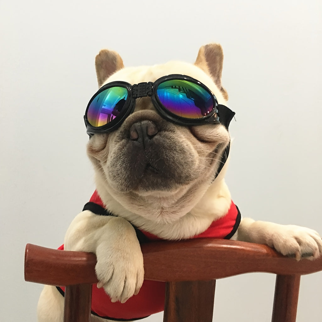Hundesonnenbrille