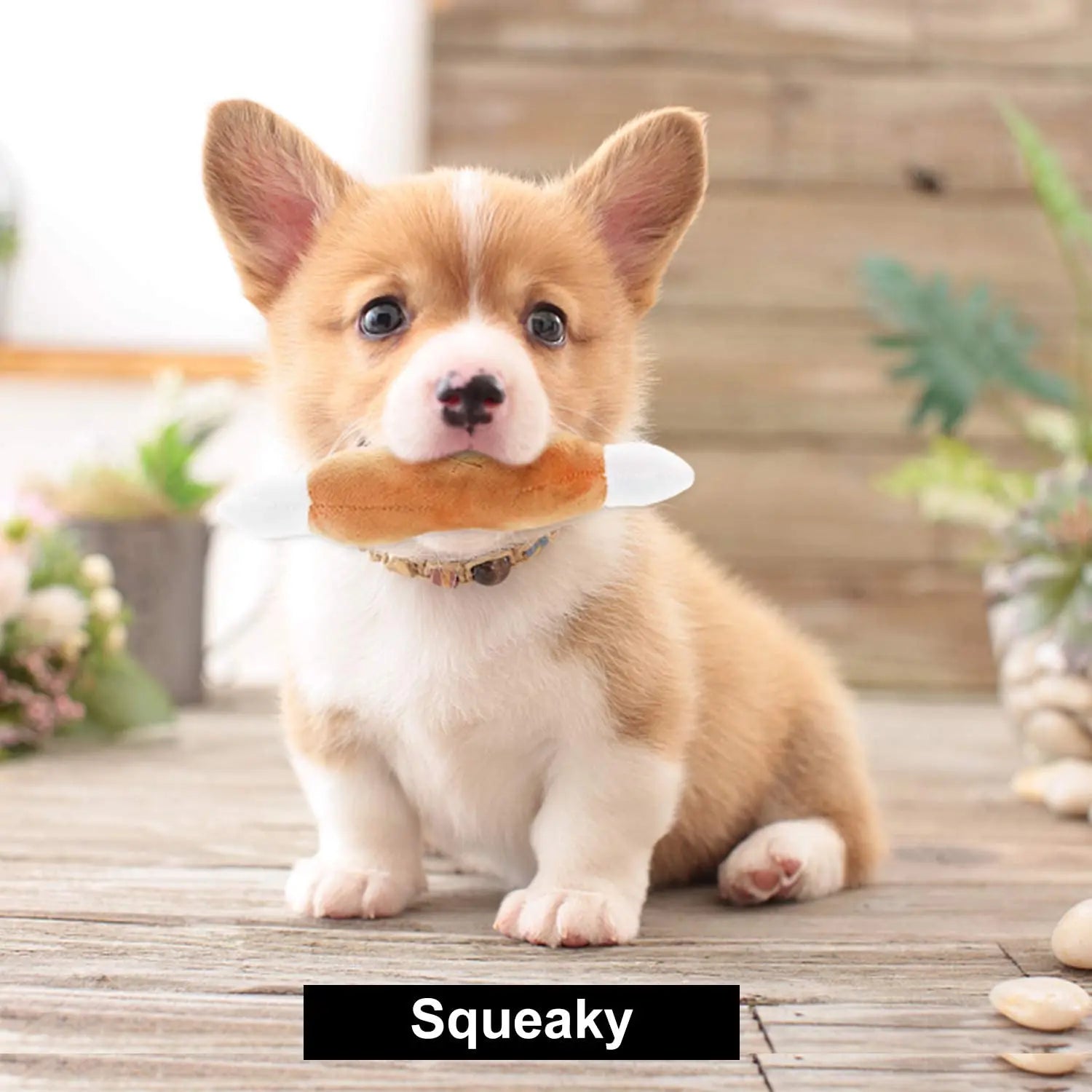 Spielzeug für Hunde - Set mit 10 verschiedenen Spielzeugen