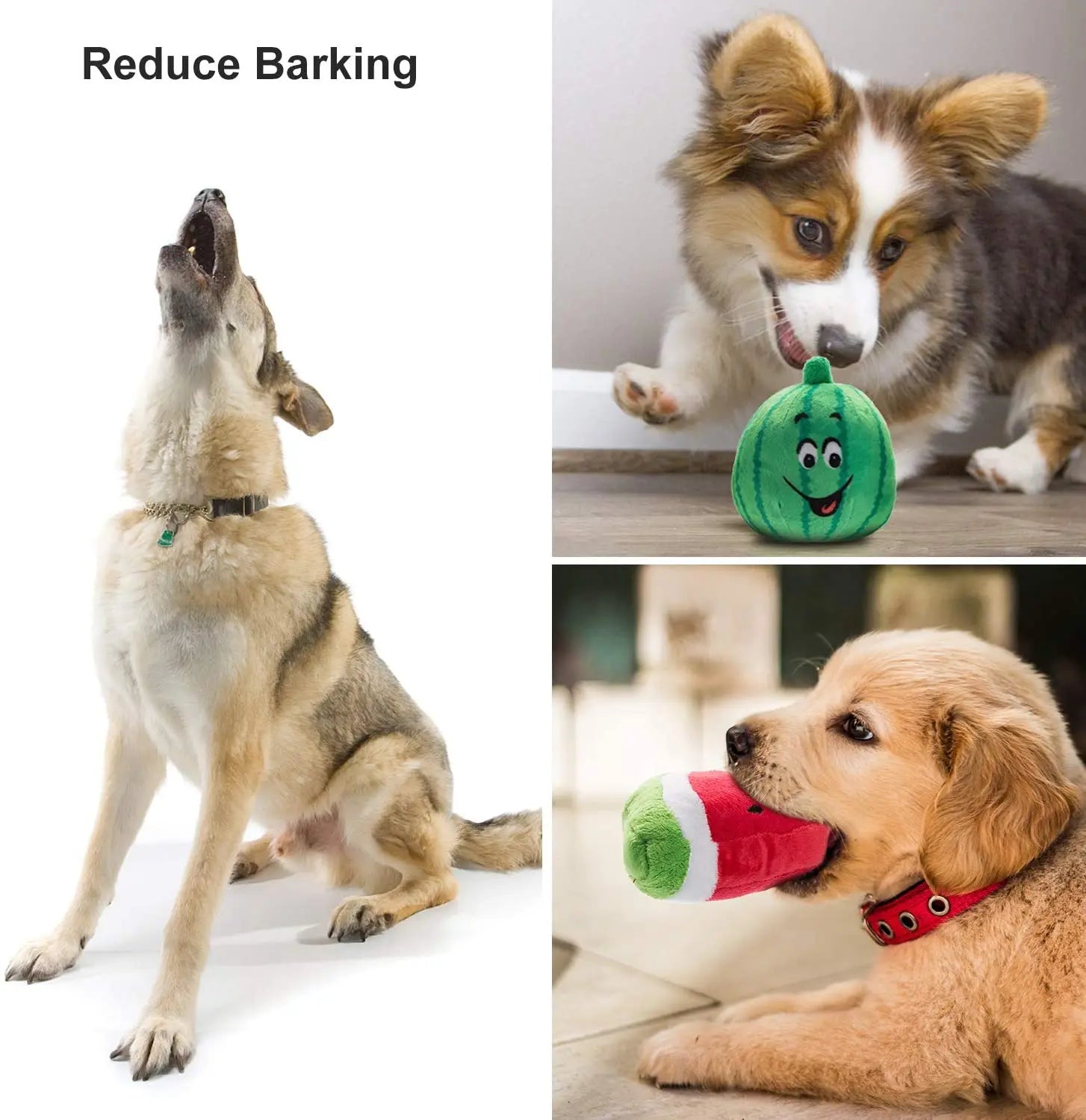 Spielzeug für Hunde - Set mit 10 verschiedenen Spielzeugen