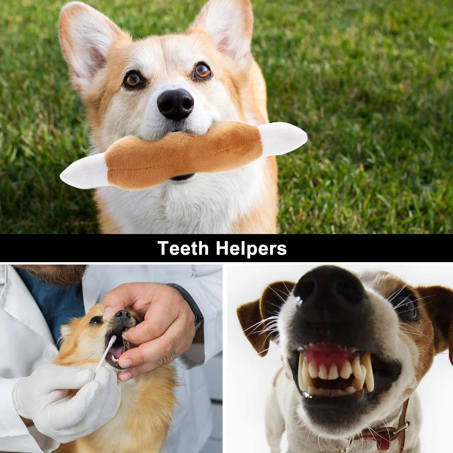 Spielzeug für Hunde - Set mit 10 verschiedenen Spielzeugen