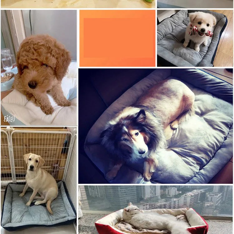 Hundebett oder Katzenbett für drinnen und draußen