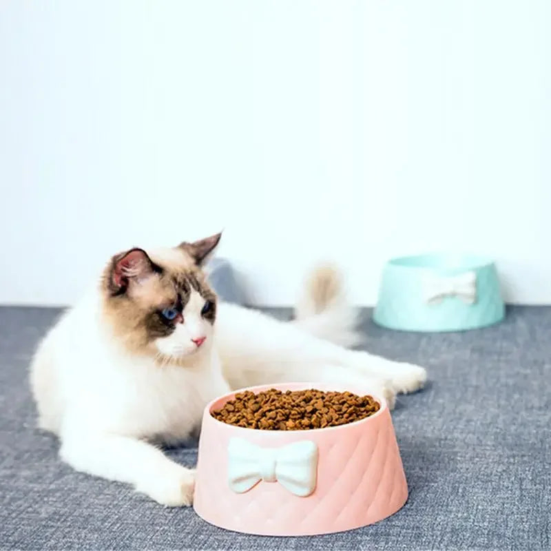 Futternäpfe für Hunde und Katzen mit Schleifen